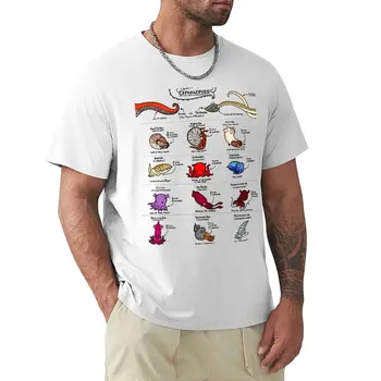 Vedieť Váš Cephalopods! T-Košele muž potu košele na mieru tričká oblečenie pre mužov
